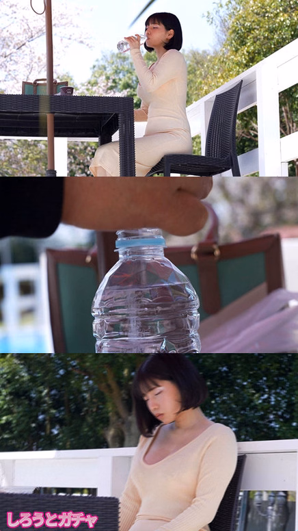 ajohokyoku.com K.S No1